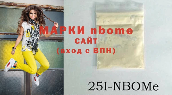 хмурый Алзамай